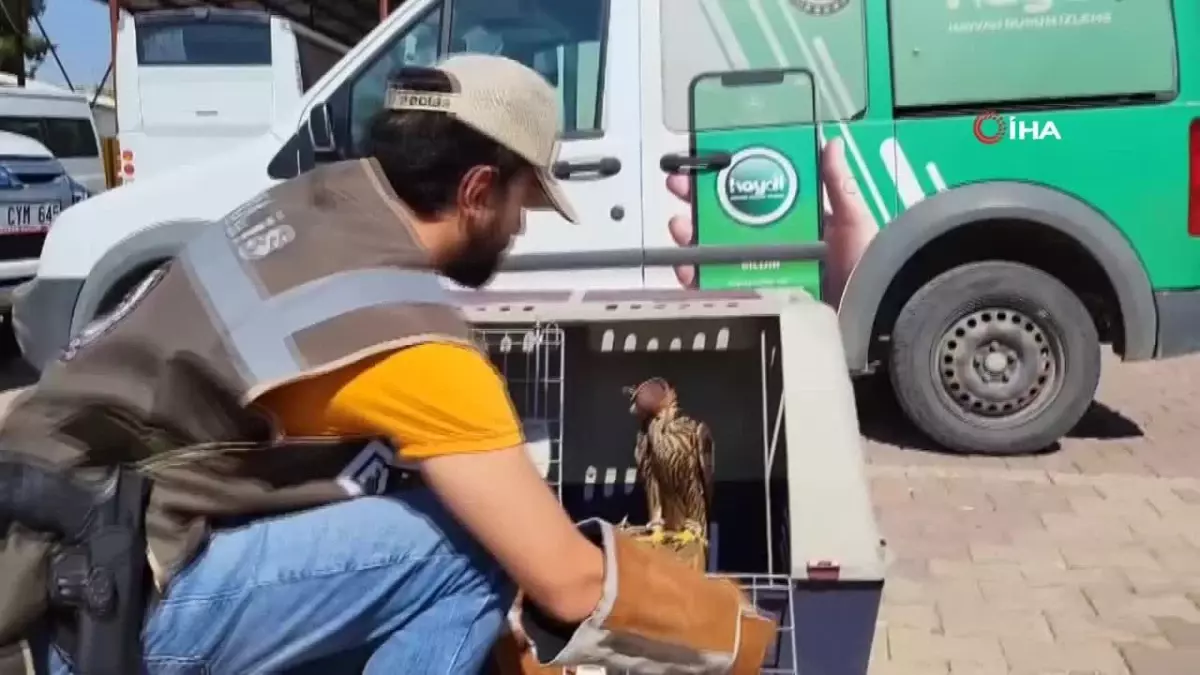 Polis Aile İçi Şiddet İhbarında Yasa Dışı Doğan İle Karşılaştı